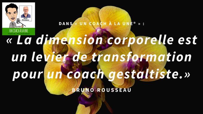 "La dimension corporelle est un levier de transformation pour un coach gestaltiste."