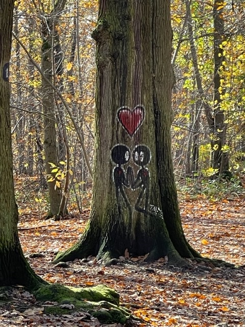 Vers une posture écogestaltiste : habiter la Terre avec tact 